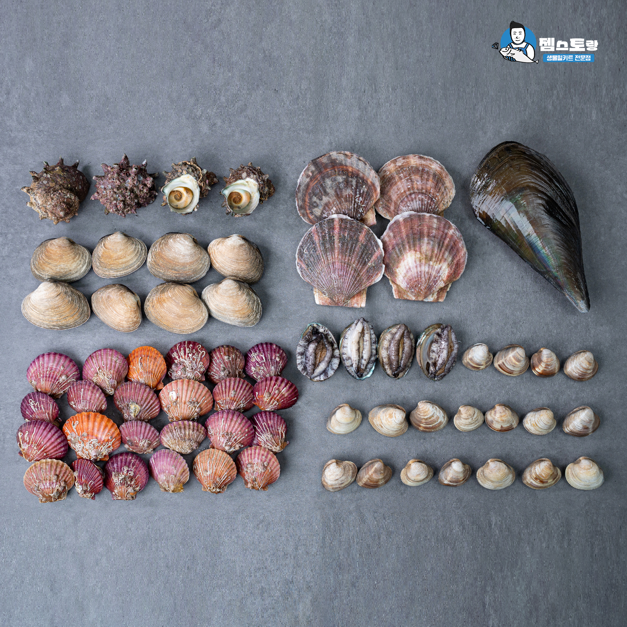 캠핑 모듬 조개구이 2kg 세트 찜 조개탕 조개찜 : 젬스토랑