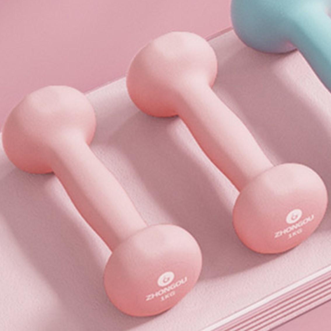 헬스아령 1kg 2개 가정용아령 미용덤벨 : 윤정-s 스토어