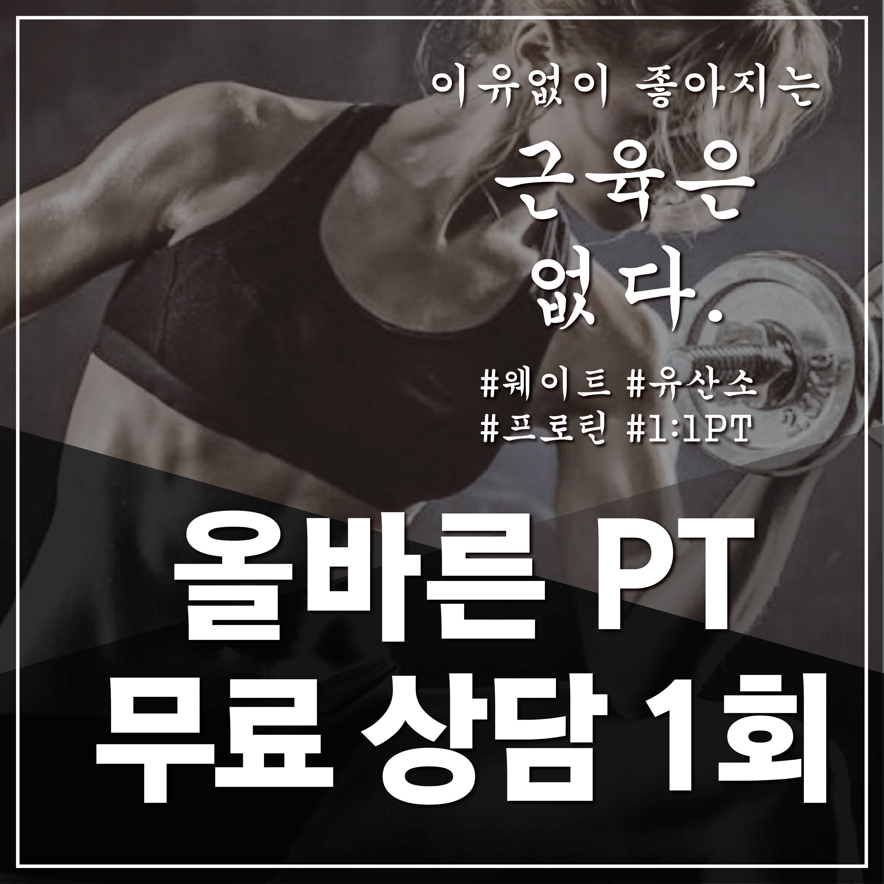 맛보기PT : 애니데이피트니스