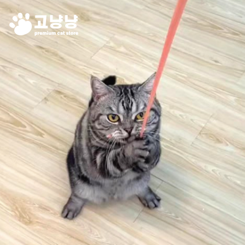 고양이 쥐꼬리장난감 쥐꼬리 낚시대 반딧불 트윙클 : 고냥냥