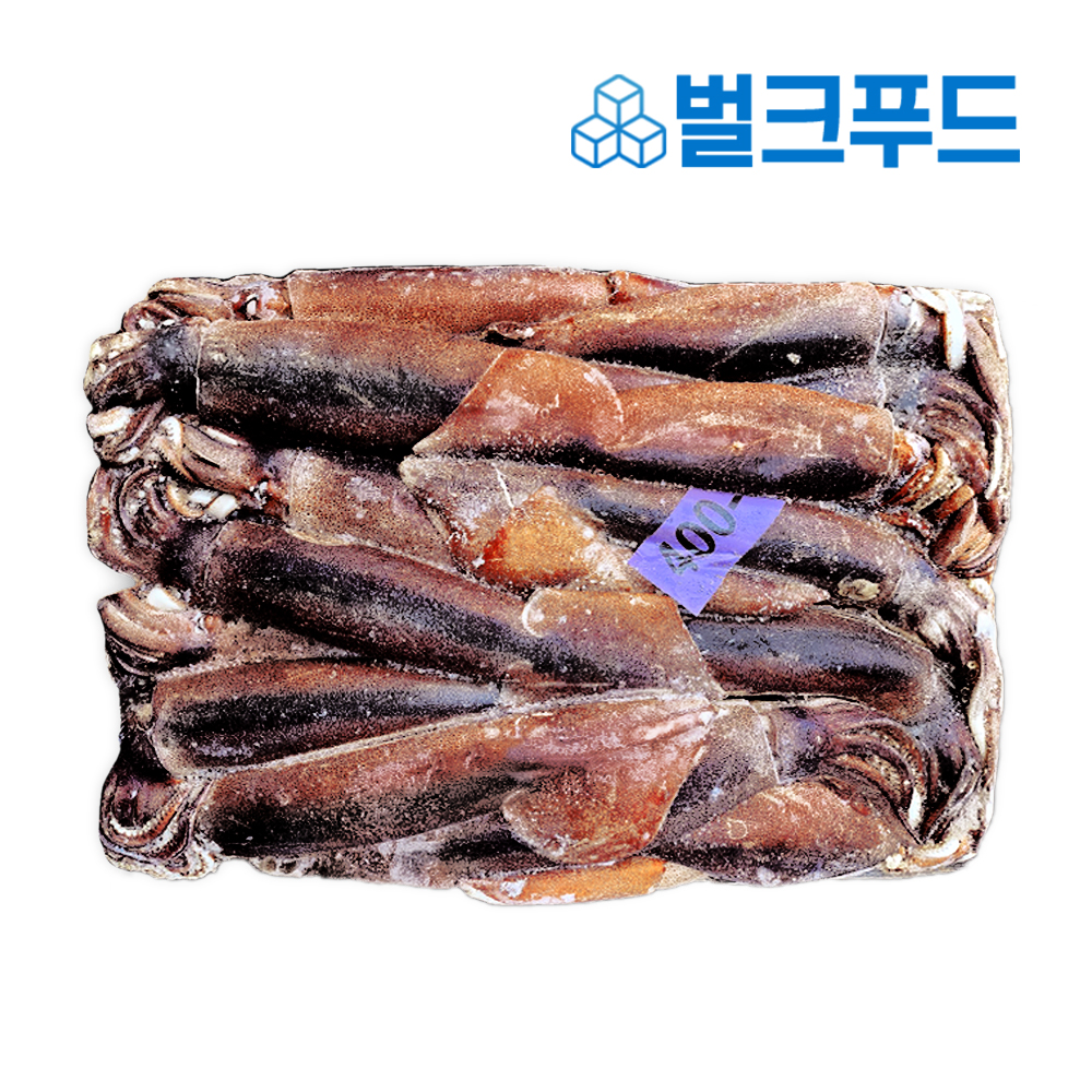 냉동 선동오징어 10kg 포크오징어 업소용 : 벌크푸드