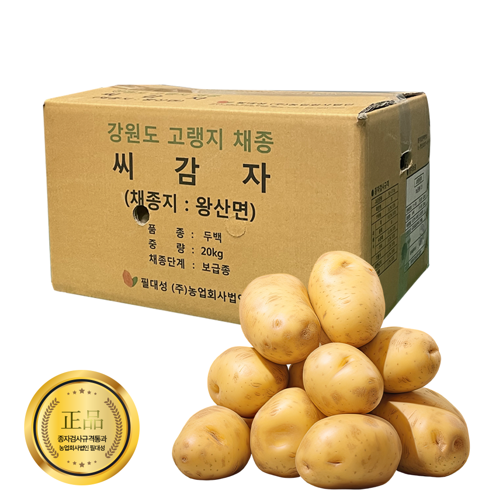 강원도 왕산면 씨감자 감자 종자 두백 20kg 보급종 씨앗 : 영진팜