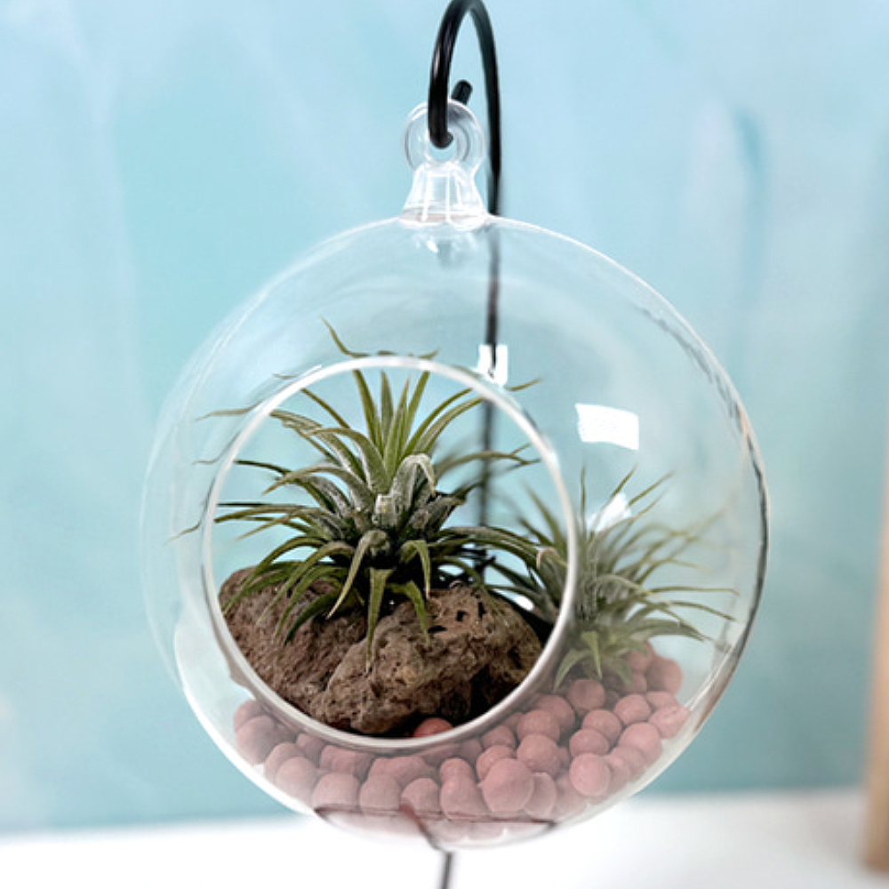 테라리움 만들기 철제걸이세트 테라리움키트 diy 노인 학생 원예치료 재료 : 상상하랑