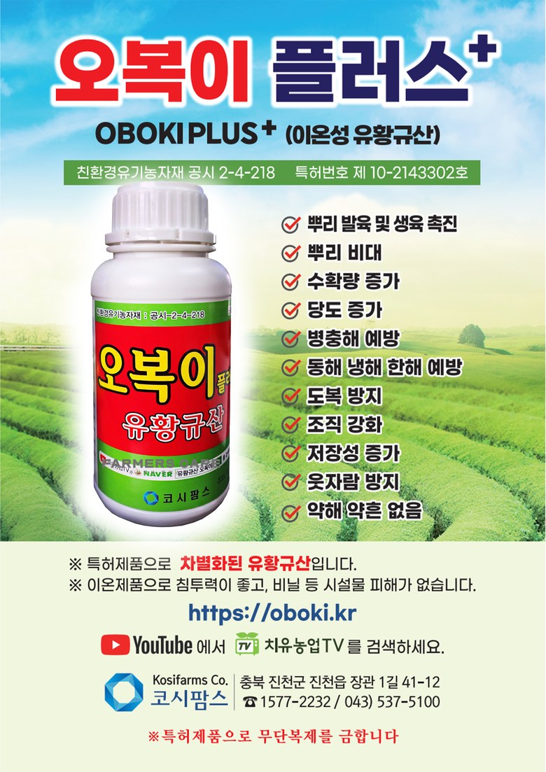 오복이플러스 500cc 수용성 유황규산 유기농 친환경 탄저병 영양제 : 신세계식물병원