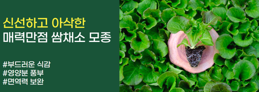 모종 : 파머씨드