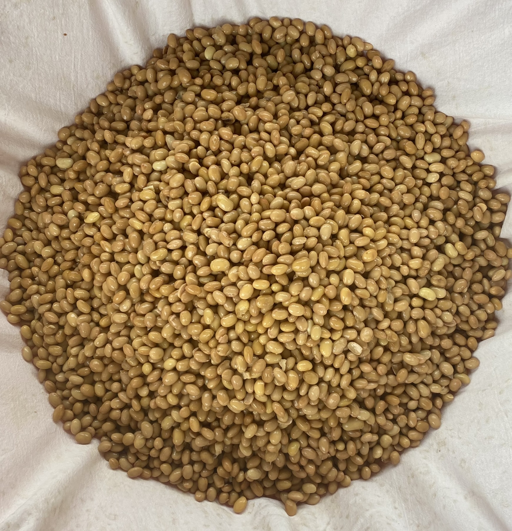 소담정찬 권영원 무염청국장 250g x 4개 : 권영원 소담정찬