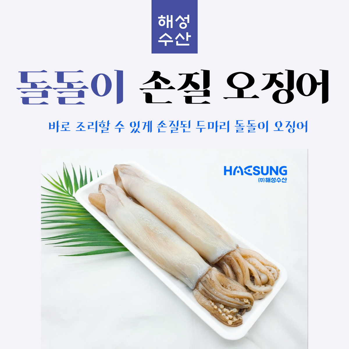 손질오징어 2마리 550g 내외 두마리돌돌이 : 대구해성수산마켓