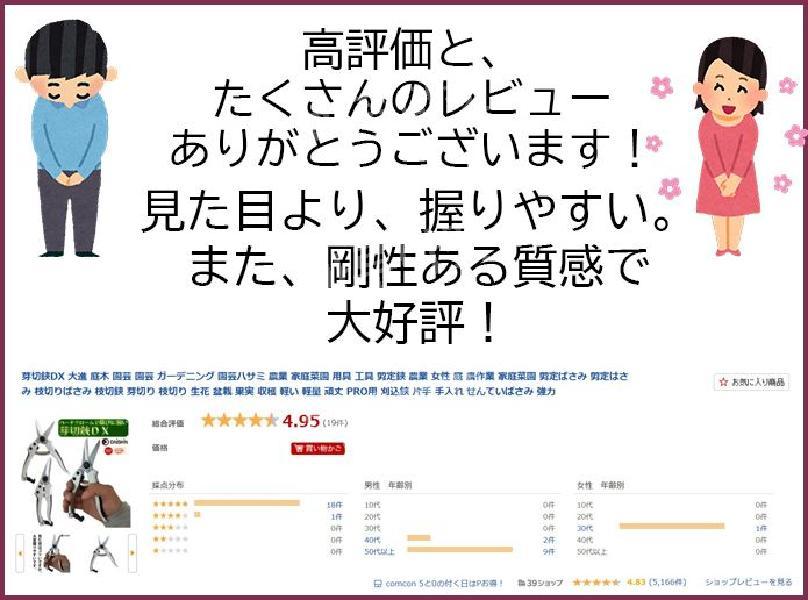 새싹 절단가 위 DX Daishin 정원 나무 원예가 식 농업 홈 도구 가지 정 가 여성 농장 작업 전정가 봉오리 절단 전정 생화 분재 과일 수확... 