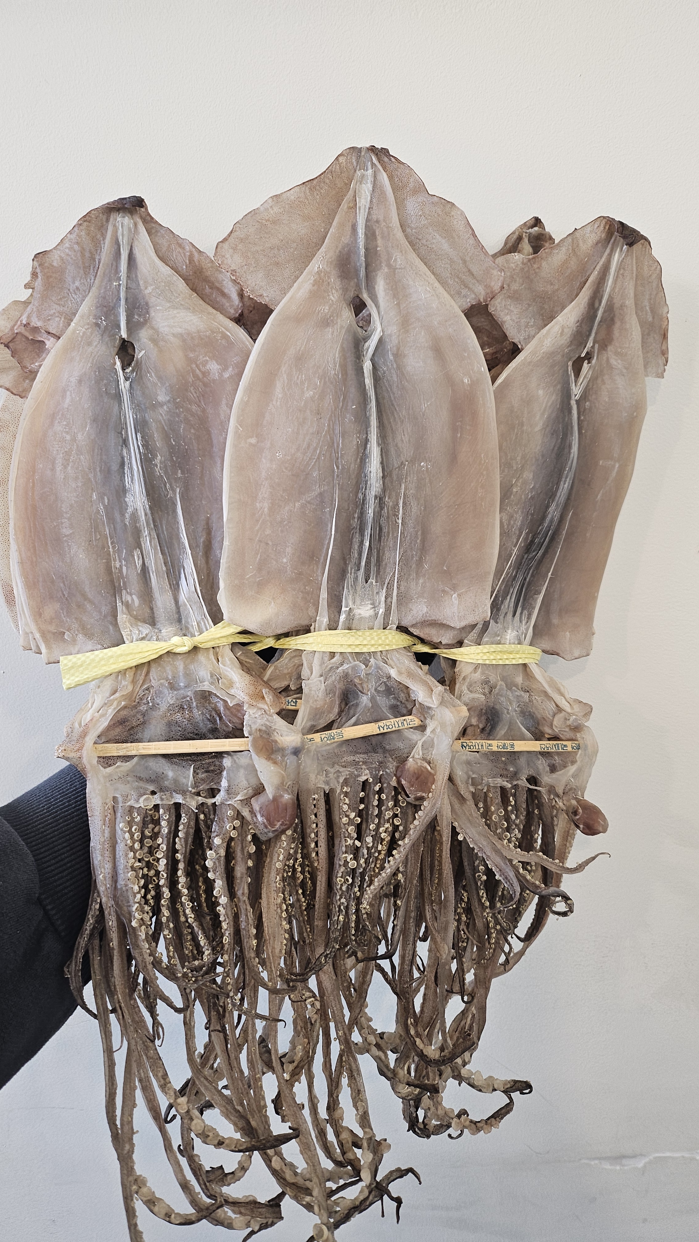 마른오징어 2마리 2.0kg 사이즈 동해산 짜지않고 신선한오징어 : 삼부자네숏다리와뚱문어성남점