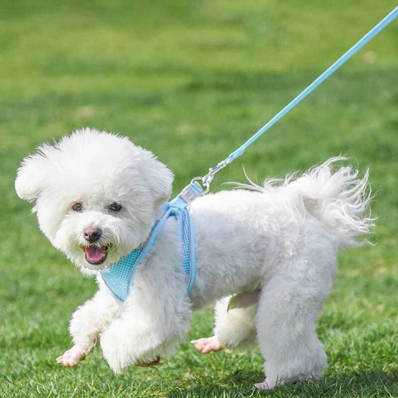 하네스 옷 통기성 목걸이 고양이 반려동물 로프 야외 메쉬 조끼 산책 중형 조절가능 가슴 : 블루별3