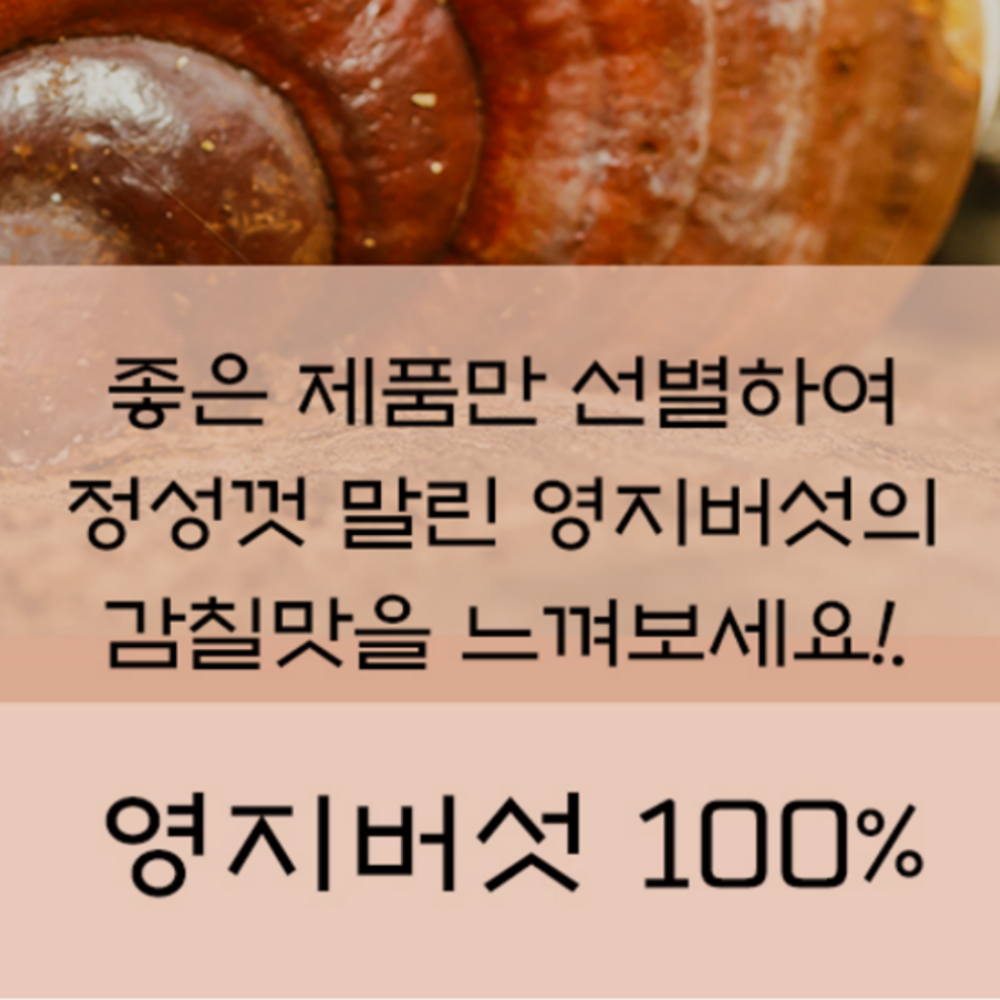 국산 영지버섯 500g 절단 건조 버섯 : 꽃길식품