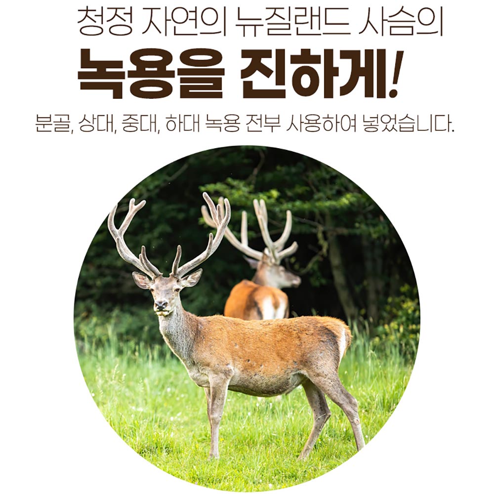 2025 김오곤 녹용홍삼보 프리미엄골드 4개월분 6년근 녹용홍삼 건강 명절 선물 세트 : 씨앤클릭