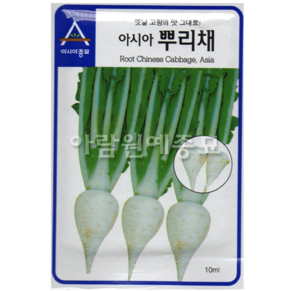 뿌리갓 뿌리채 채소 씨앗 7g : 두마리농산