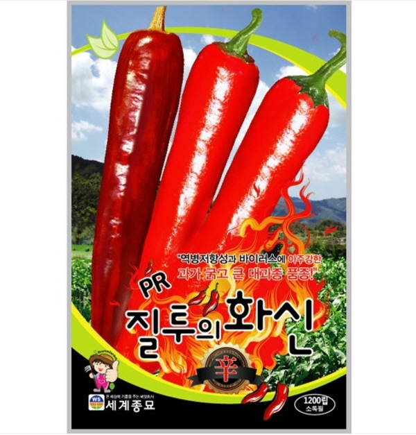 질투의화신 1200립 / PR 고추 씨앗 종자 텃밭 : 두마리농산