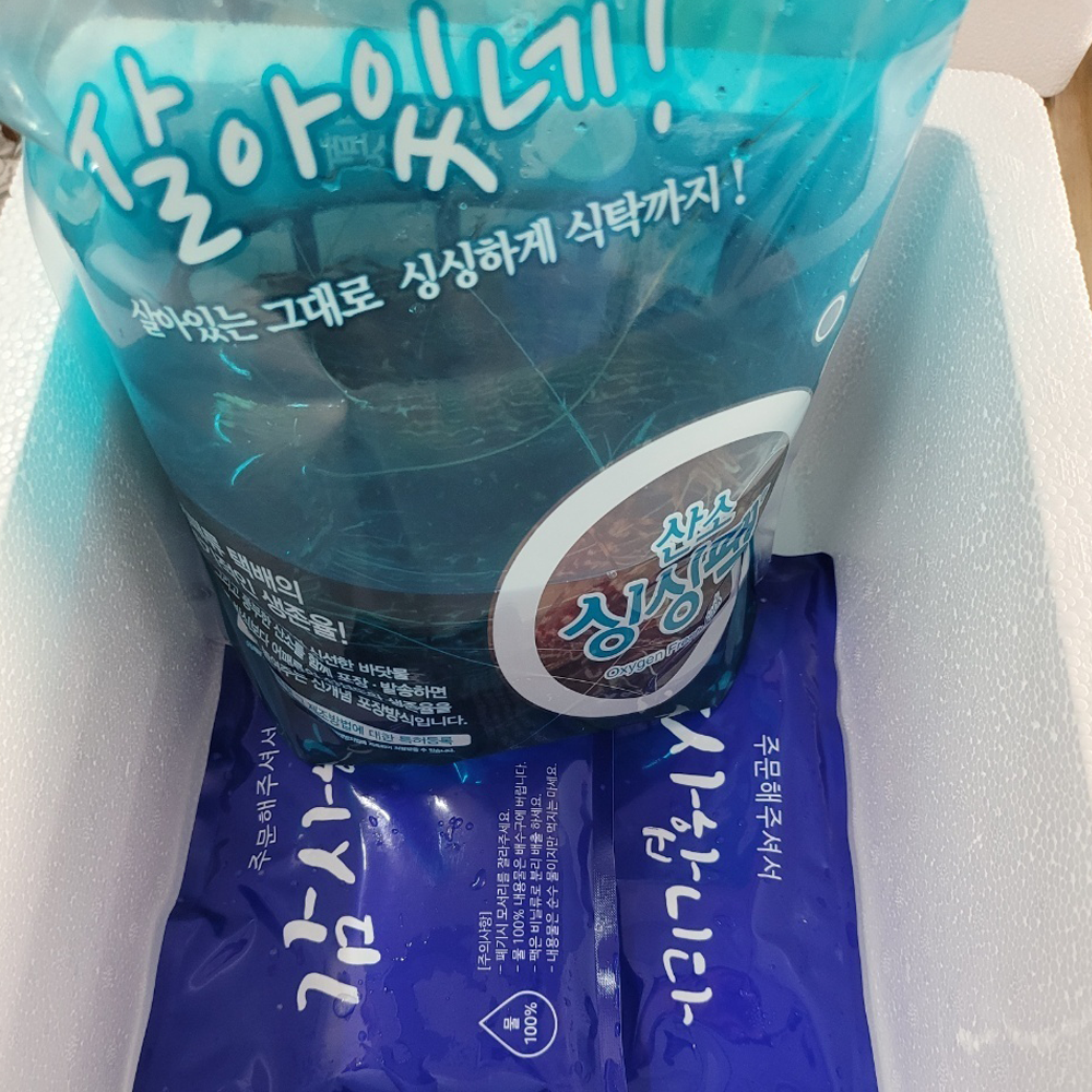 독도 새우 꽃새우 닭새우 산소포장 활새우 300g 시세 : 워커하이브