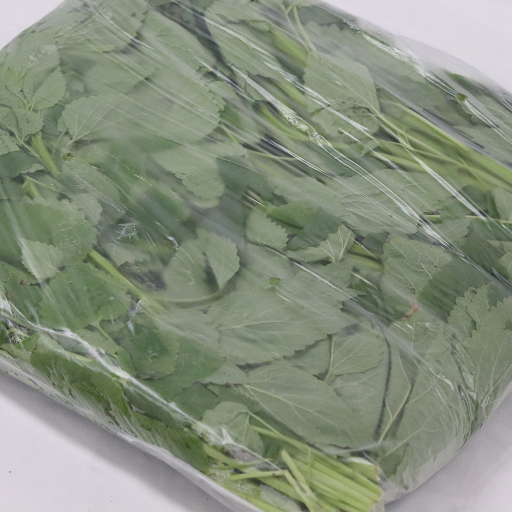 국내산 생 방아잎 1KG 2KG 산초 : 베지토피아몰