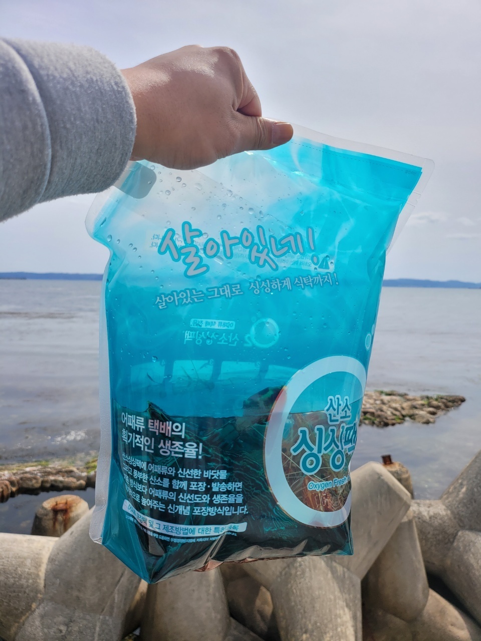 살아있는 활 독도새우 산소포장 500g/300g : 예카구구마켓