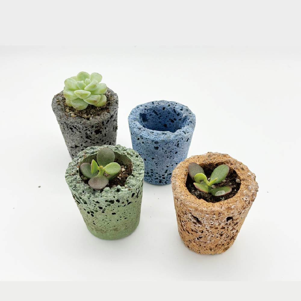 탄소중립 발포세라믹 도우아트 다육 염좌 미니화분 만들기 마사토 DIY : 이레체험학습