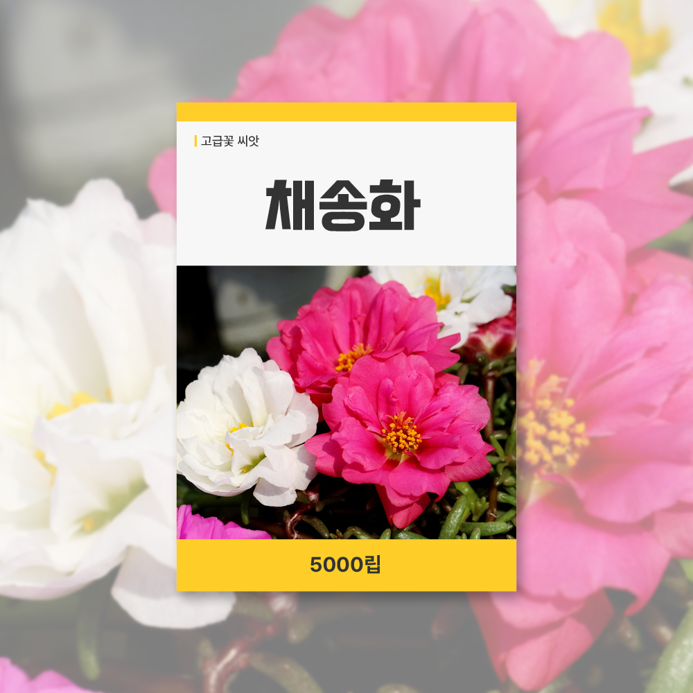 채송화 야생화 씨앗 봄꽃 꽃씨 키우기 데팡스 : 데팡스 홈가드닝 종합쇼핑몰