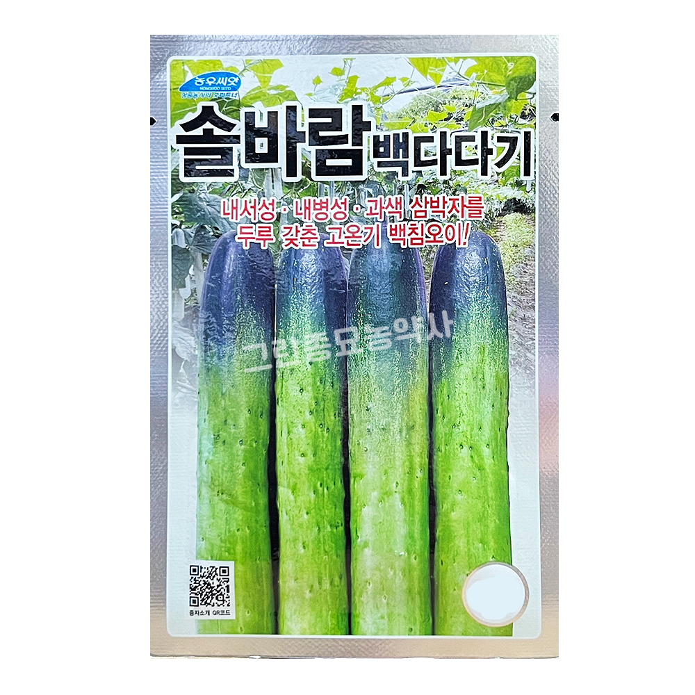 솔바람 백다다기 오이 500립 오이 씨앗 종자농우비아오 모종 텃밭 그린종묘사 : 허수아비정원