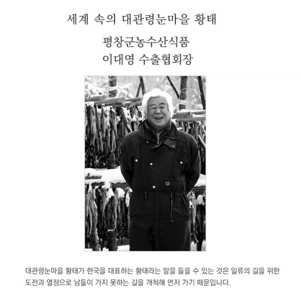 대관령 눈마을 황태 영농조합법인 통 황태 특대 5미 : BLITZ
