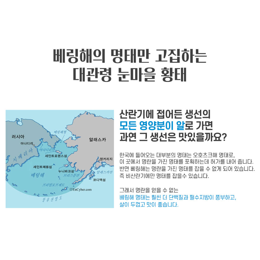 대관령 눈마을 황태 영농조합법인 통 황태 특대 5미 : BLITZ