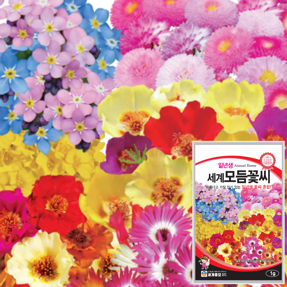 세계 일년생 모듬 꽃씨 모음 물망초 겹 채송화 리빙스턴 데이지 알릿섬 꽃씨 종자 씨 : 근소텃밭