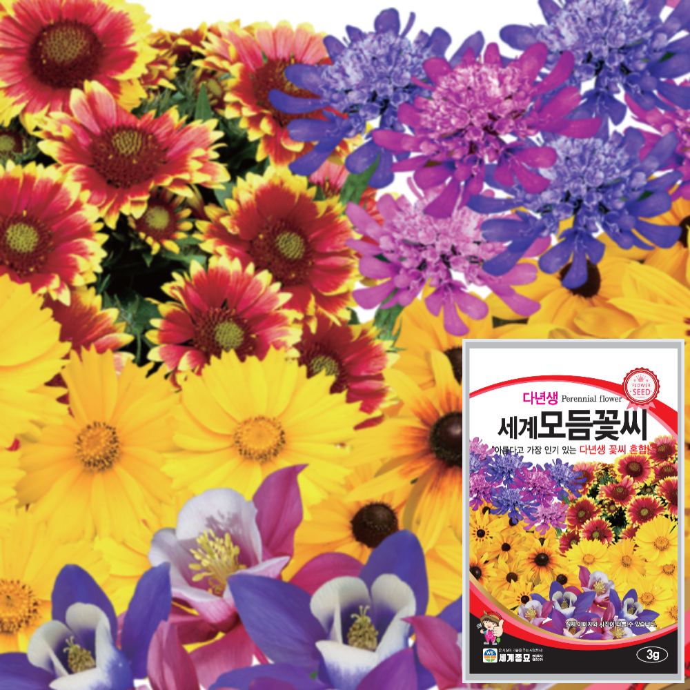 세계 다년생 모듬 꽃씨 모음 천인국 금계국 솔체 매발톱 루드베키아 꽃씨 종자 씨 : 근소텃밭