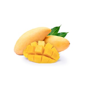 이탈리아 프리미엄 젤라또아이스크림 망고 맛 (3kg/대용량/업소용/매장용) : 에밀리아코리아