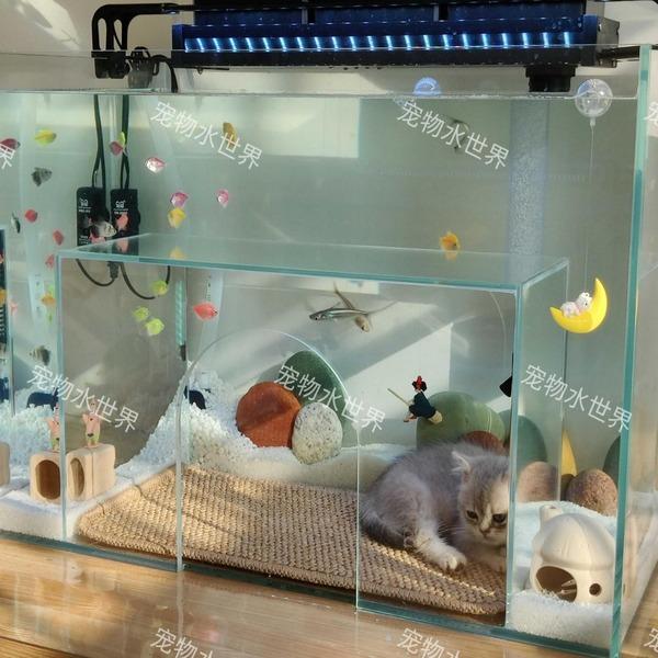 고양이 어항 수조 심심한 혼자 있는 집사 냥 금붕어 아크릴 전망 아쿠아리움 둥지 숨숨집 물멍 : 더스칼렛