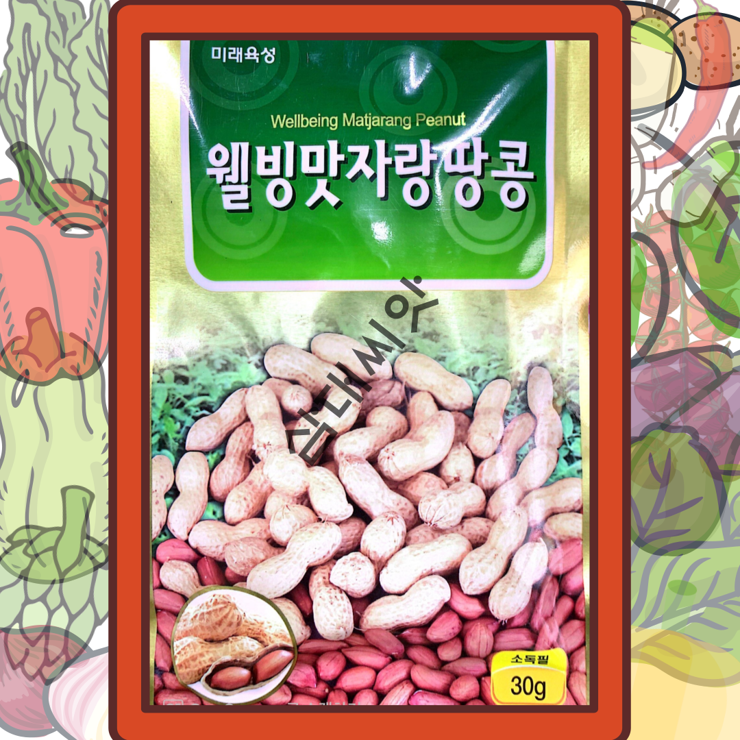 땅콩씨앗 토종땅콩종자 재래종30g 미래 낙화생 : 삼대씨앗