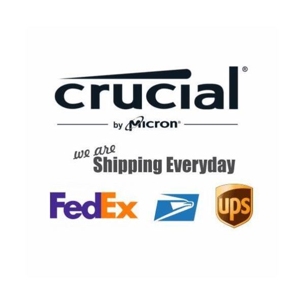 Crucial P3 CT500P3SSD 솔리드 스테이트 드라이브[세금포함] [정품]8 500 GB Solid State Drive - M.2 2280 Internal -PCI Ex... 