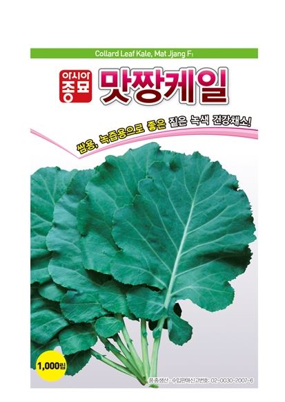쌈채씨앗  맛짱케일 1000립 아시아종묘 쌈용 녹즙용으로 좋은 건강채소 /쌈 녹즙용 채소 : 만물아그로