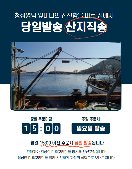 생물 미주구리회 동해안 영덕강구 300g, 500g (참가자미 회) (참가자미) 야채무료 : 유후YooHoo