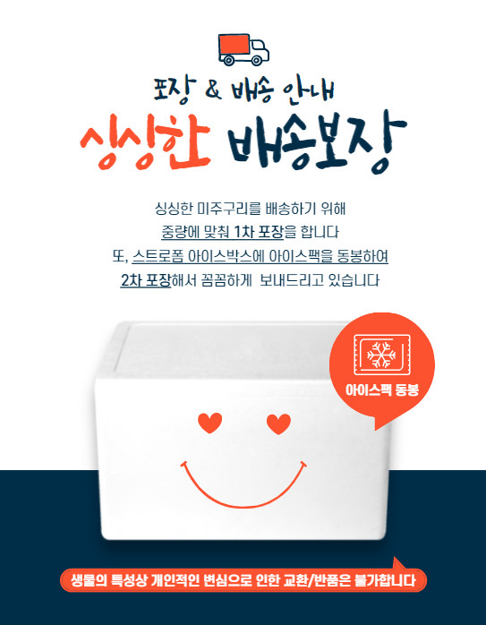 생물 미주구리회 동해안 영덕강구 300g, 500g (참가자미 회) (참가자미) 야채무료 : 유후YooHoo