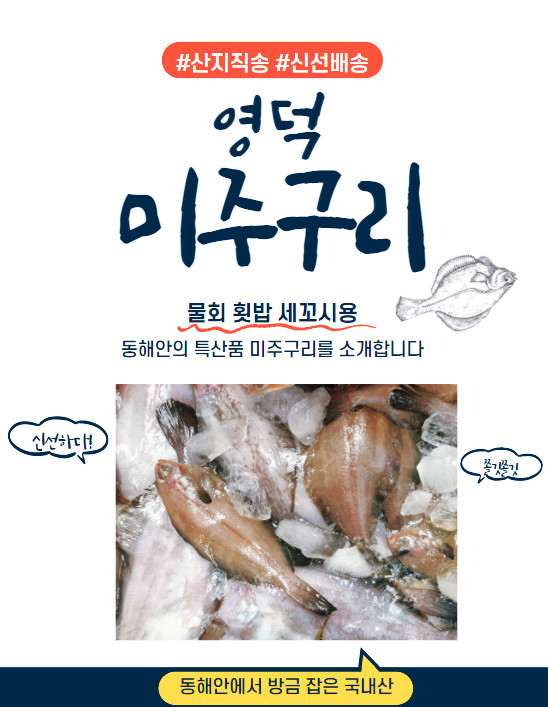 생물 미주구리회 동해안 영덕강구 300g, 500g (참가자미 회) (참가자미) 야채무료 : 유후YooHoo