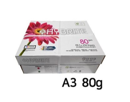 A3 Eco-Choice 지속가능한 환경을 위한 용지 : 씨에이치펜스