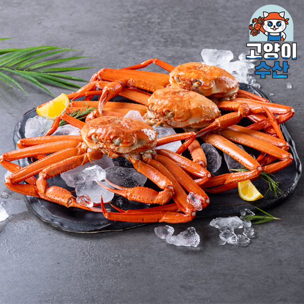고양이수산 세종호 후포리 홍게 (3.5kg내외 / 8-12마리) : 고양이수산