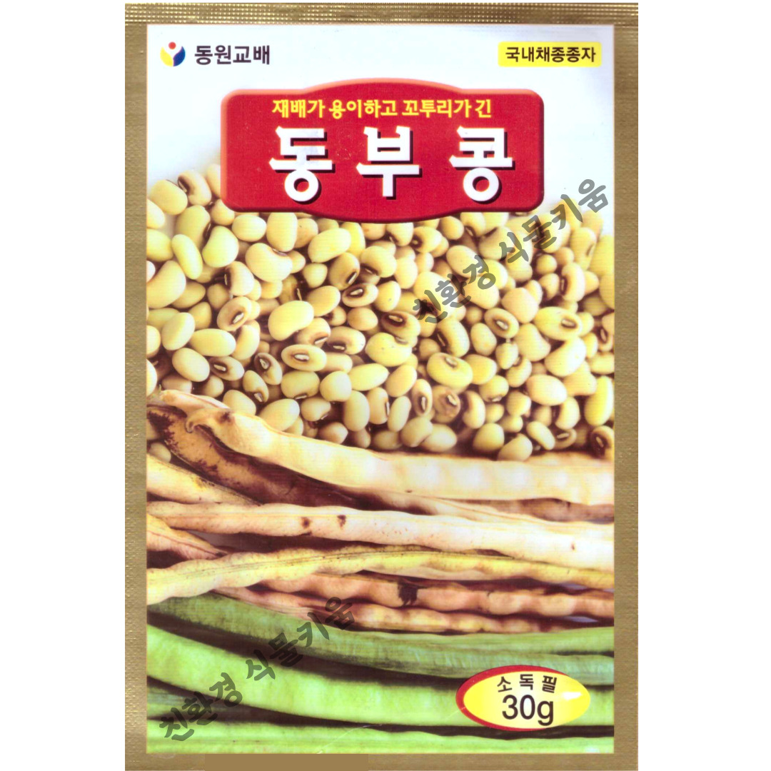 동부콩 씨앗 30g 국산동부콩씨앗 동부콩종자 동부씨앗 : 친환경식물 키움스토어