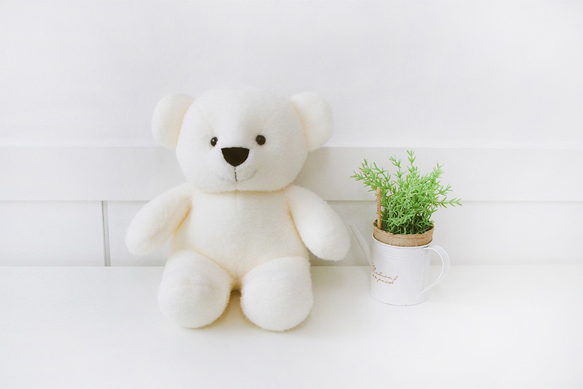곰인형 크리미 베어 윌슨인형 곰돌이 곰 인형 애착인형 25cm 35cm : 인형의꿈