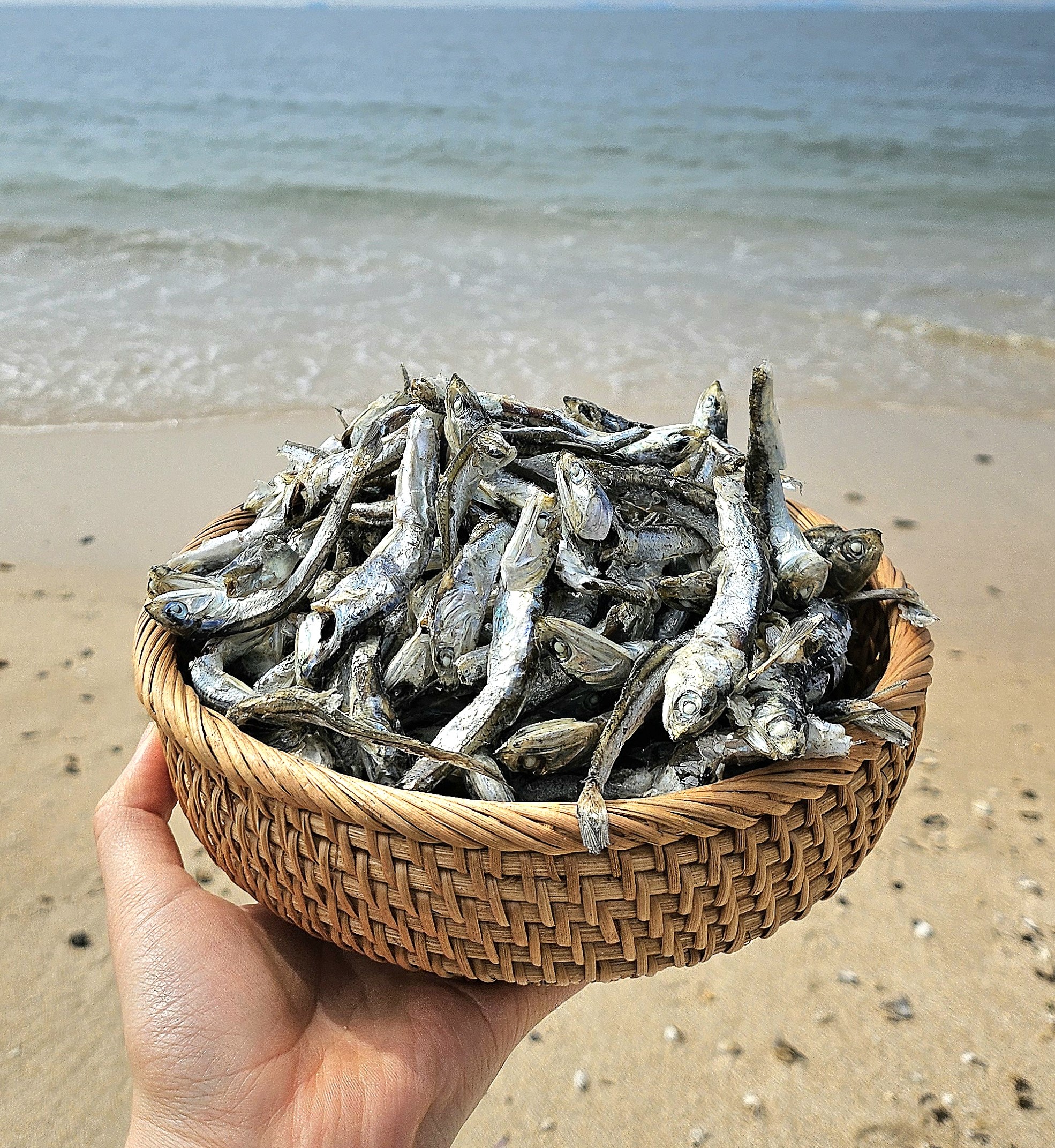 서해 국내산 국물멸치 다시멸치 800g 350g : 해보령