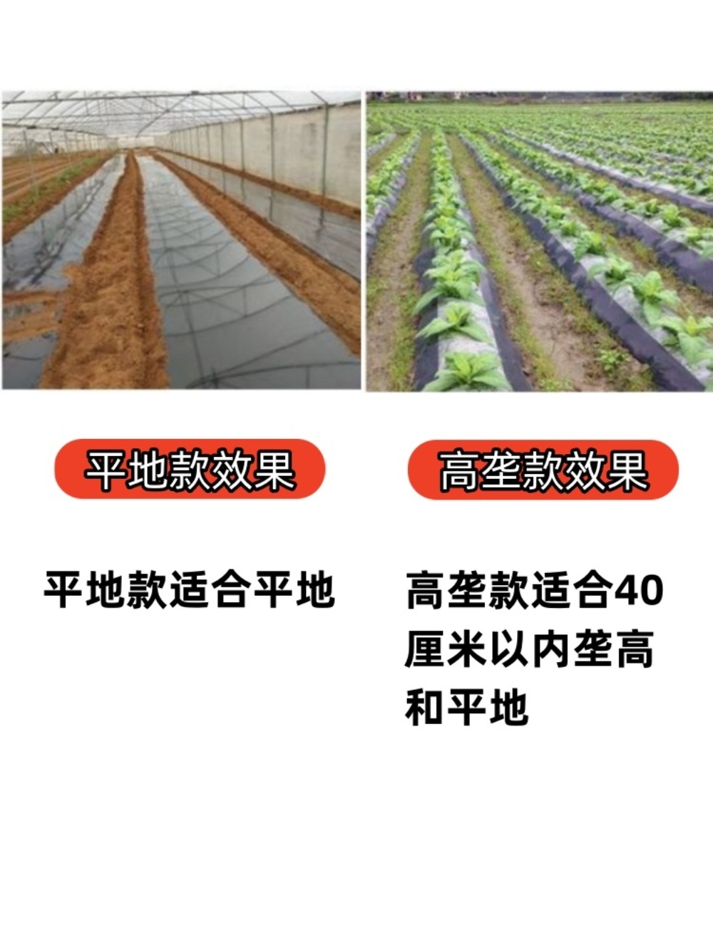 비닐멀칭기 필름 고추밭 비닐씌우기 기계 수동 : 나비츠온