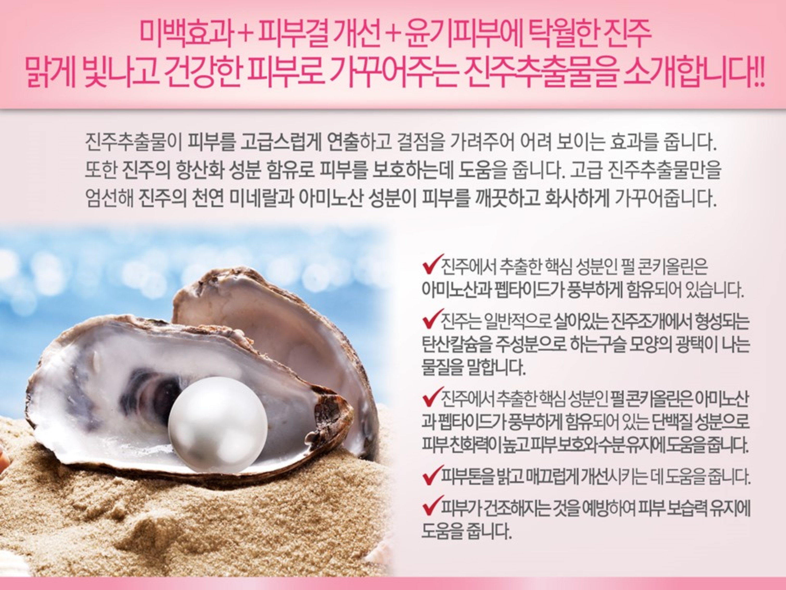팍스모리 톤업 피부영양 미백기능성 닥터 화이트닝 크림 70g : 팍스모리코리아