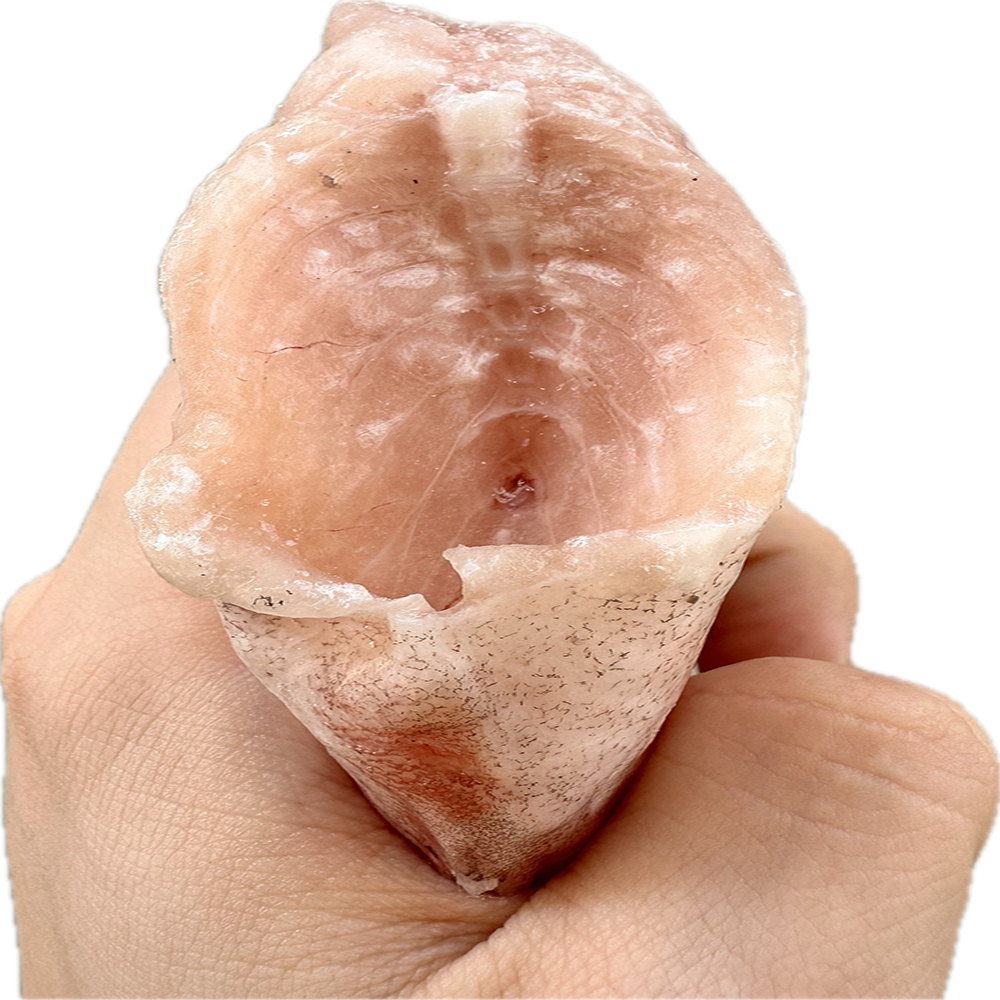 손질 두절 능성어 바리 4.5kg 업소용 (지느러미,흑막,비늘 제거) : 힘찬푸드