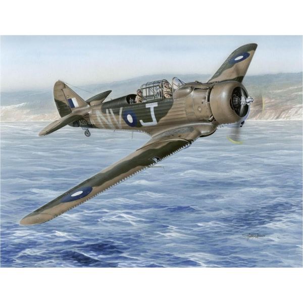 スペシャルホビー 스페셜 취미 1/48 호주 커먼웰스 C-9 월러웨이 다용도기 프라모델 S : ten-jikgu