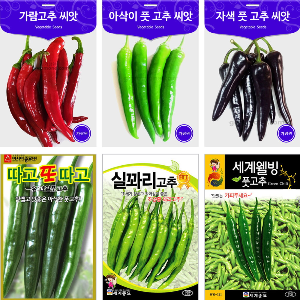 혼합 상추 씨앗 채소씨앗 야채씨앗 : 가람원