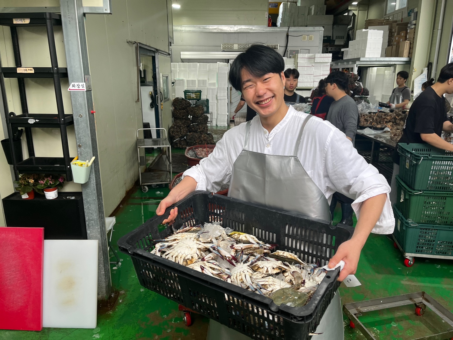 당일조업 싱싱 꽃게 알배기 연평도 서해 태안 : 고기바다냉장고