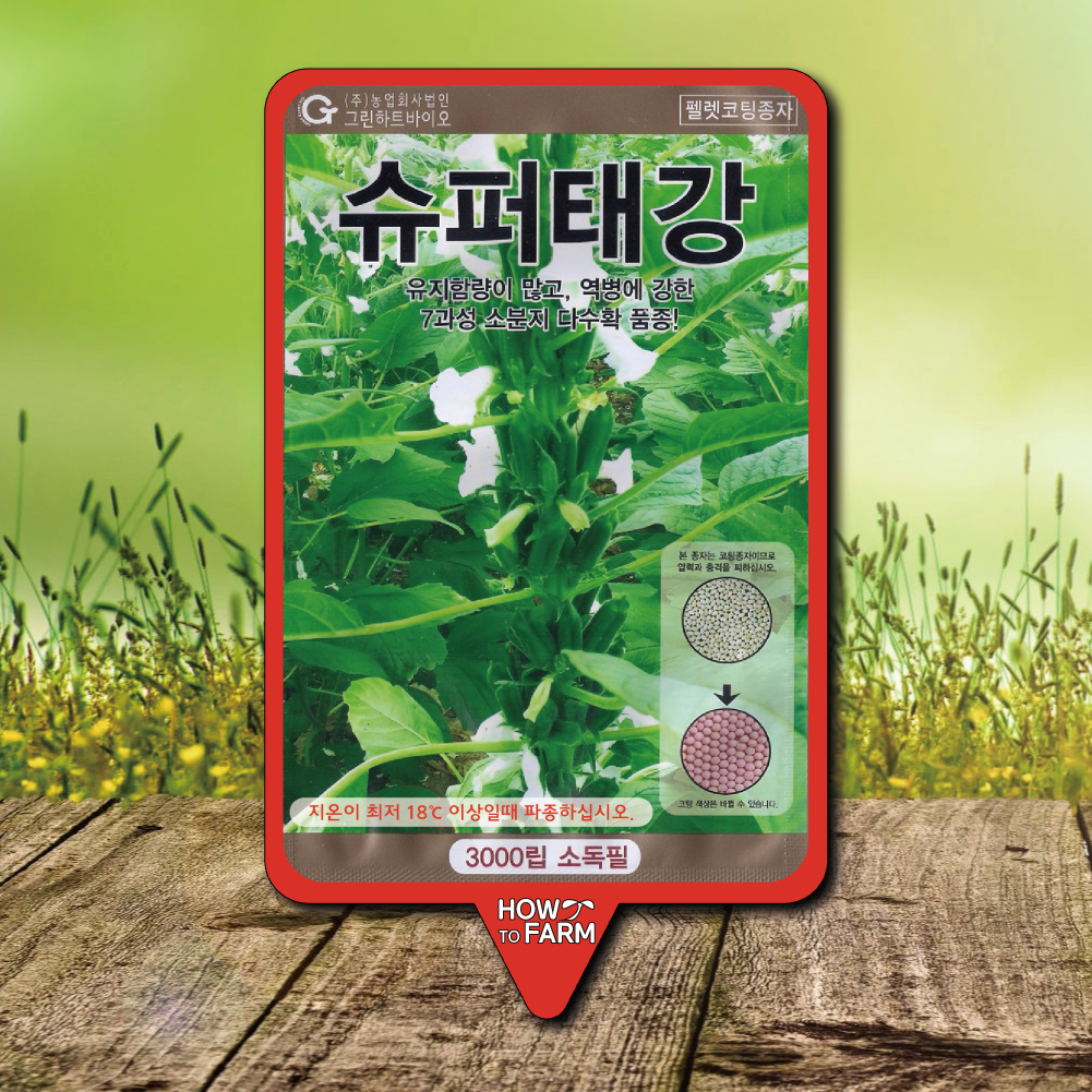 슈퍼태강 참깨씨앗 종자3000립 외대깨 소분지참깨 : 하우투팜