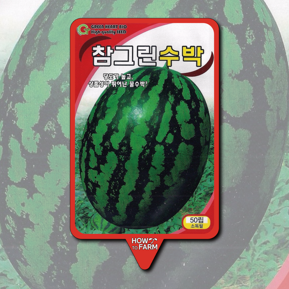 참그린수박 씨앗 종자50립 : 하우투팜