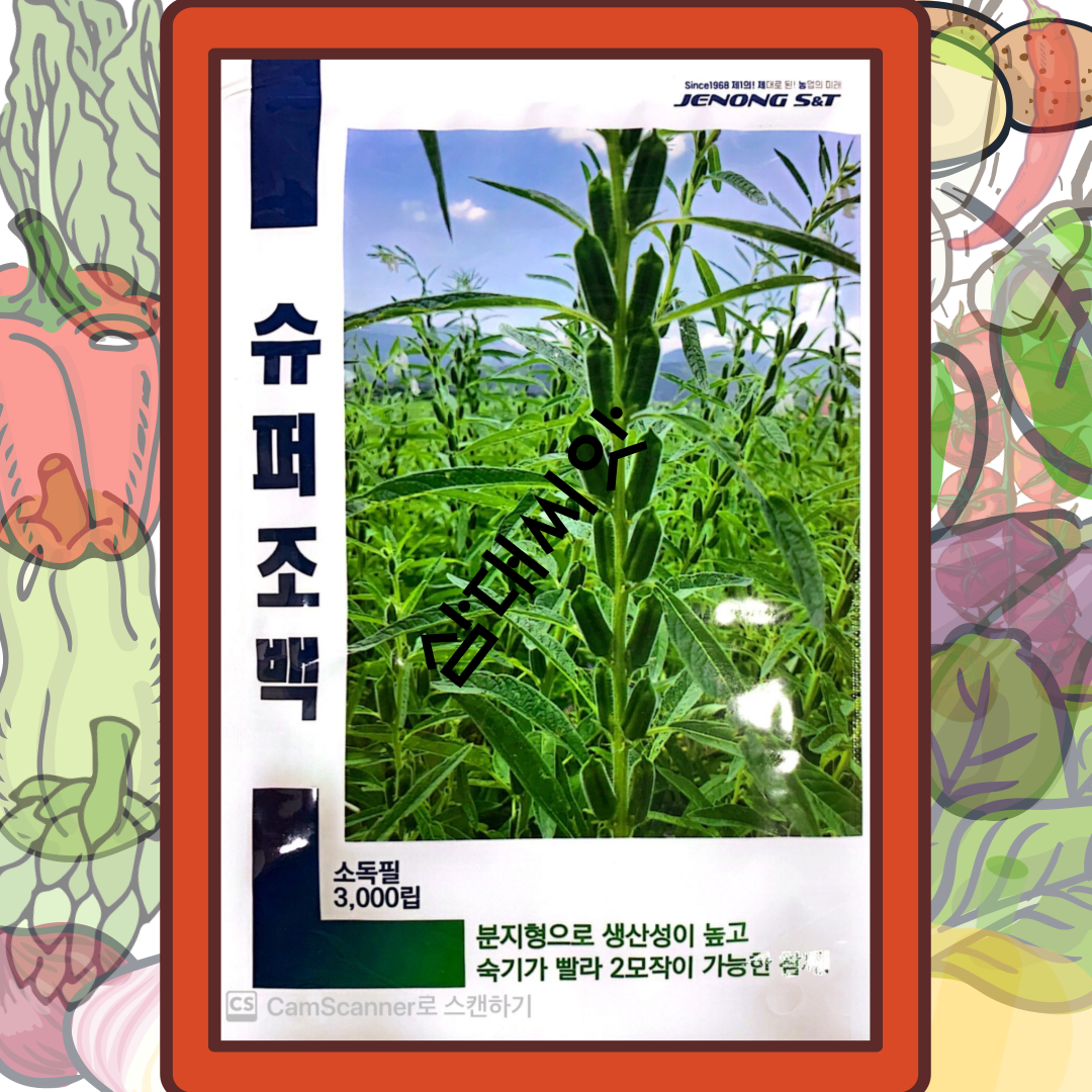 조생종참깨씨앗 신품종 슈퍼 조백참깨씨앗 쌍대깨 3000립 : 삼대씨앗